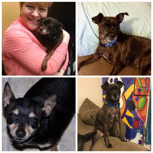 Vintage and gently used coats and jackets coming - Picture 2 of 8